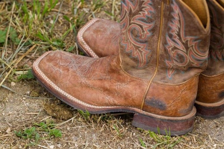 How To Choose The Perfect Cowboy Boot Toe Types 5 Basic Toe Shapes   Untitled Design 2021 02 25T105915.109 Min 768x512 