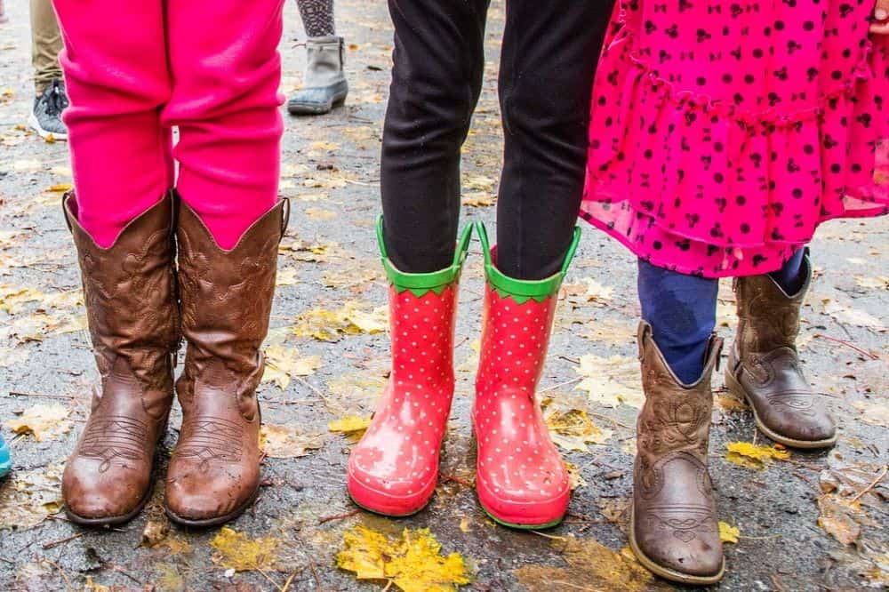 The 15 Best Waterproof Cowboy Boots in 2023 - From The Guest Room