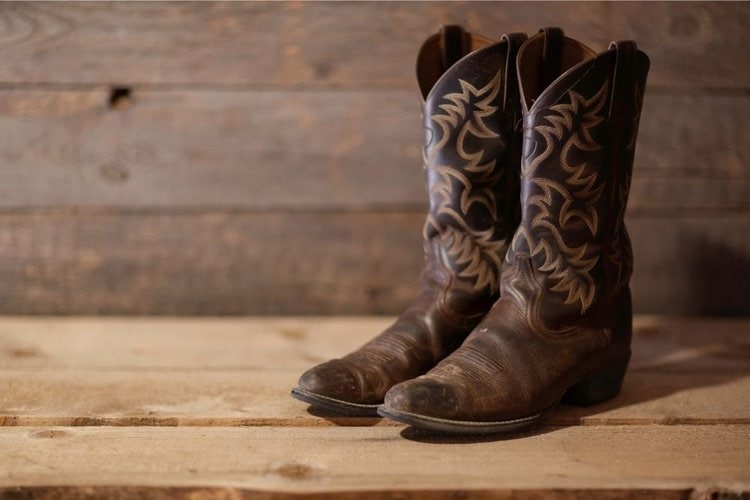 Lucchese Cowboy Boots Reviews - From The Guest Room