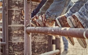 How Long do Leather Soles Last on Cowboy Boots? - From The Guest Room