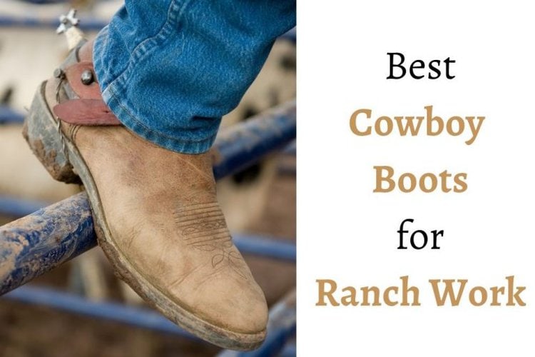 how-much-taller-do-cowboy-boots-make-you-from-the-guest-room